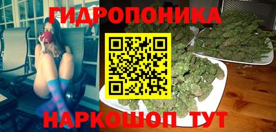 ПСИЛОЦИБИНОВЫЕ ГРИБЫ Владимир