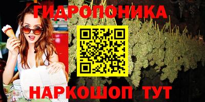 ПСИЛОЦИБИНОВЫЕ ГРИБЫ Владимир