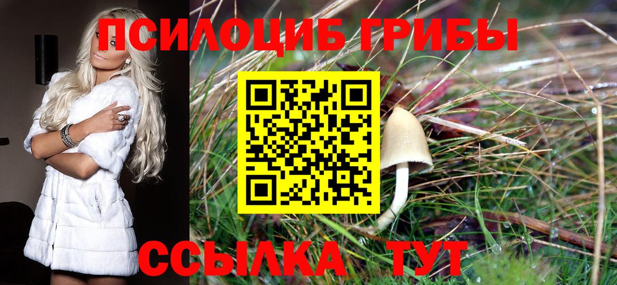 Галлюциногенные грибы мухоморы Находка