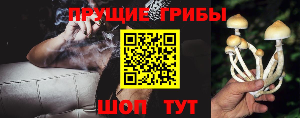 где купить наркотик  Галлюциногенные грибы прущие грибы  Вход с VPN  Находка 
